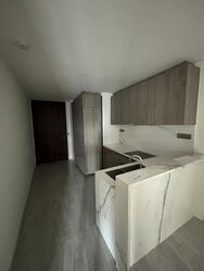 Leedon Green (D10), Condominium #462901231